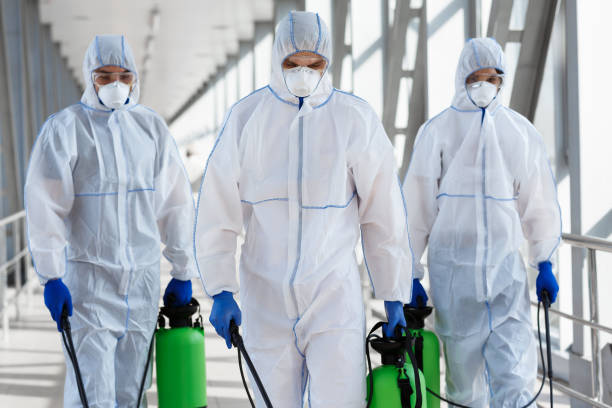 Best Commercial water damage restoration  in Lambertville, MI